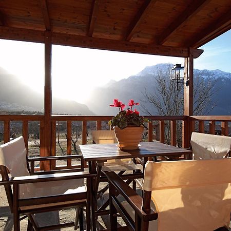 Villa Rustica Konitsa Eksteriør bilde