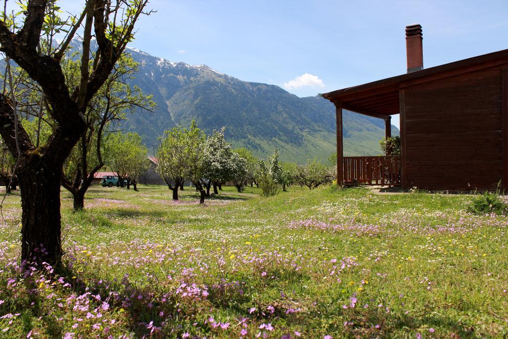 Villa Rustica Konitsa Eksteriør bilde