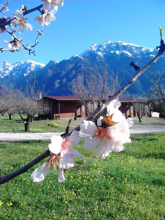 Villa Rustica Konitsa Rom bilde