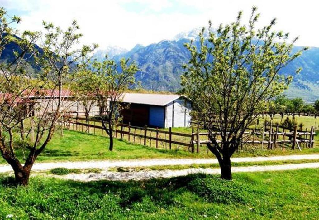 Villa Rustica Konitsa Eksteriør bilde